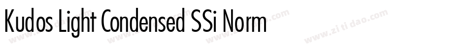 Kudos Light Condensed SSi Normal字体转换